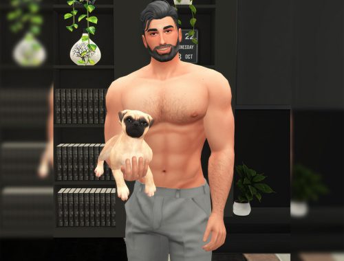 Bj V (Pose pack)