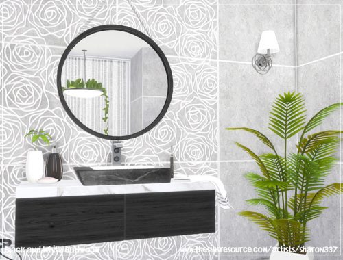 Black and White Bathroom