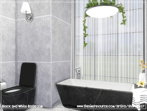 Black and White Bathroom
