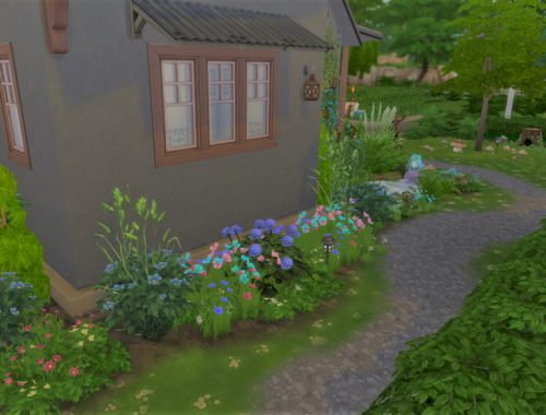 Blue Asters no cc