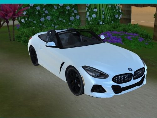 BMW Z4