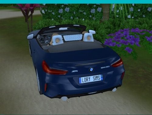 BMW Z4