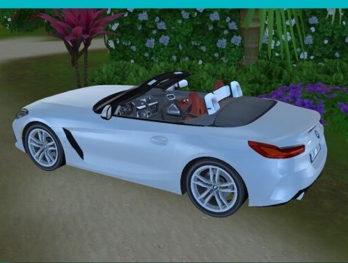 BMW Z4