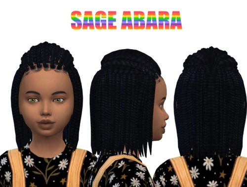 Bob Short Braids Child
