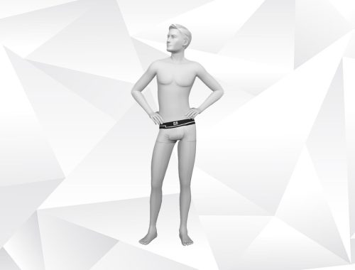 Boxer Simlish - Set 3