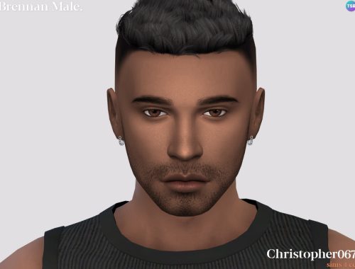Brennan Earrings Male