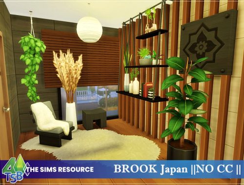 BROOK Japan || NO CC ||