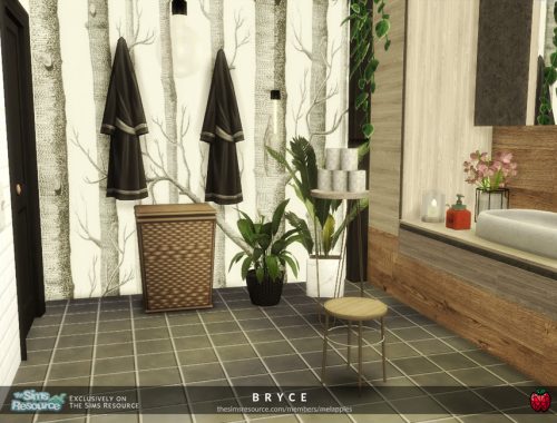 Bryce bathroom