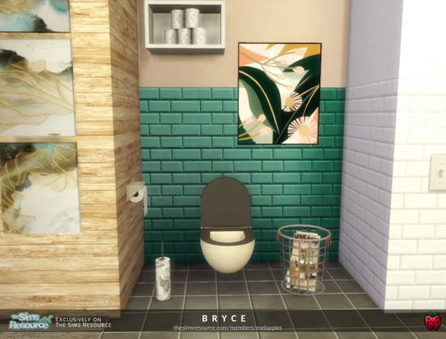 Bryce bathroom