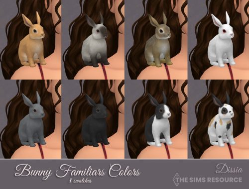 Bunny Familiars Set