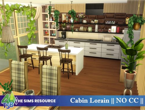 Cabin Lorain || NO CC ||
