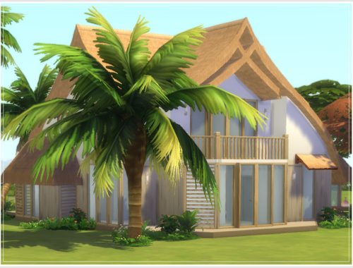 Capucine _Empty Shell (No CC)
