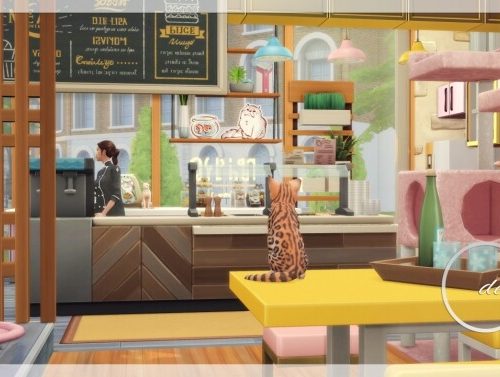 Cat Cafe at Cross Design