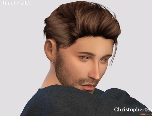 Chalet Earrings Male