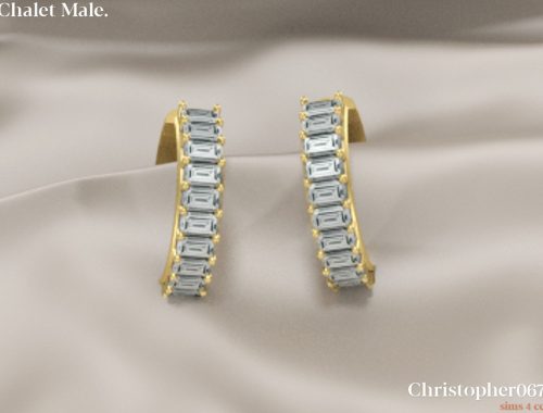Chalet Earrings Male