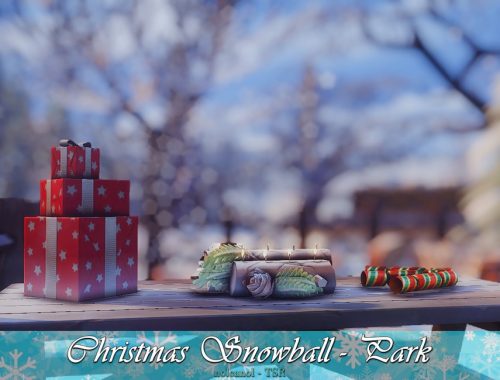 Christmas Snowball - Park / No CC