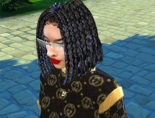 Chunkie Box Braids
