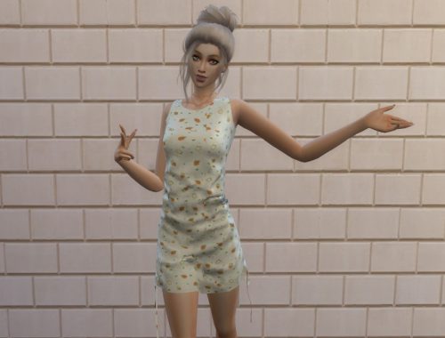 Cinched Dress
