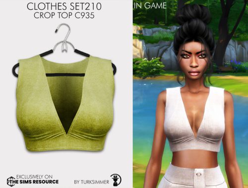 Clothes SET210 - Crop Top C935