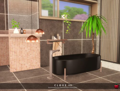Clove - bathroom