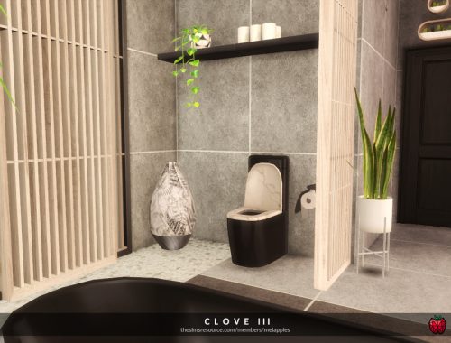 Clove - bathroom