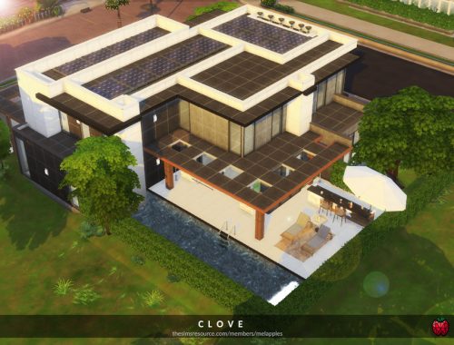 Clove
