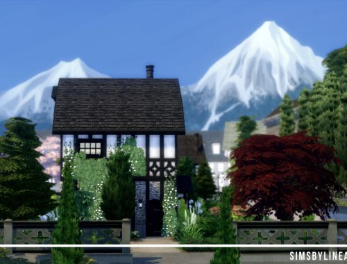 Comfy Cottage