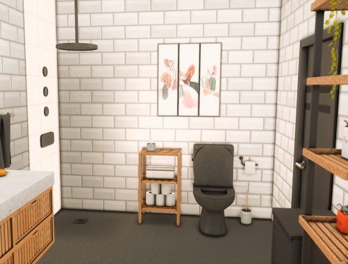 Connor Bathroom (TSR only CC)