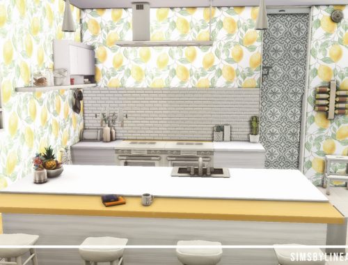 Contemporary Kitchen
