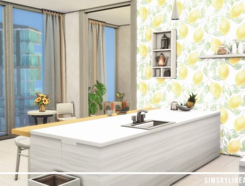 Contemporary Kitchen