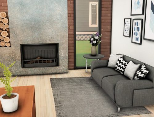 Contemporary Living Room
