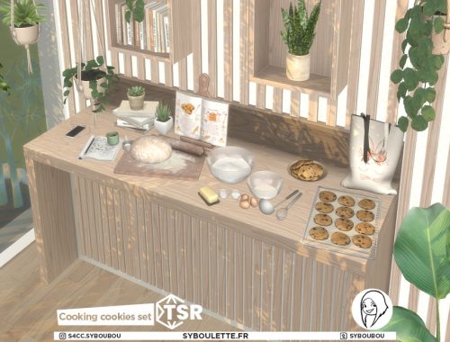 Cooking cookies set
