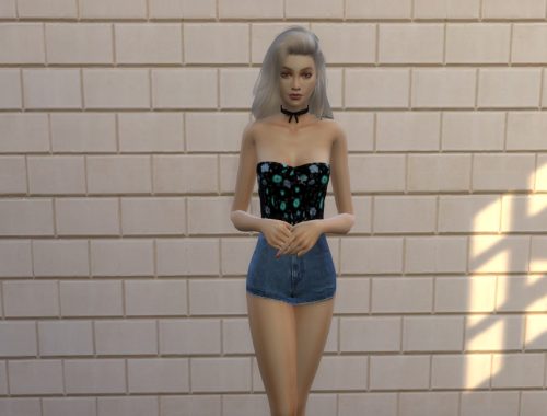 Corset Top