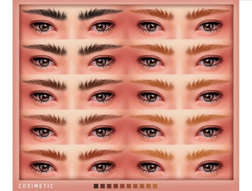 COSIMETIC Eyebrows N21