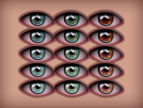 COSIMETIC Eyecolors N7