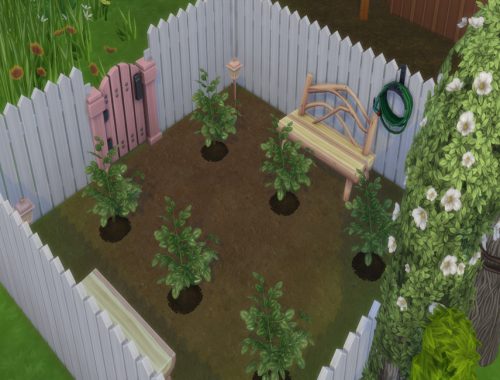 Cottage (Carrot)