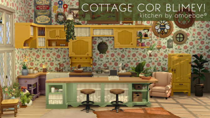 COTTAGE COR BLIMEY! Kitchen in Image Spectra