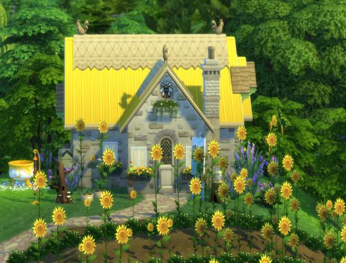 Cottage Sunflower