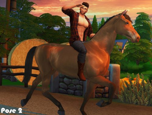 Cowboy (Pose pack)