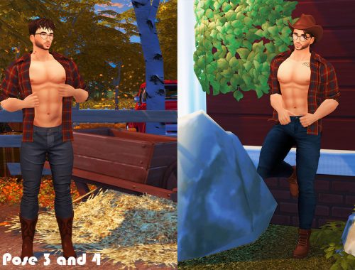 Cowboy (Pose pack)