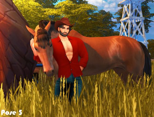 Cowboy (Pose pack)