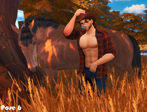 Cowboy (Pose pack)