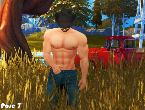 Cowboy (Pose pack)