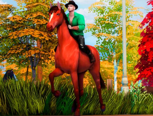 Cowboy  PosePack