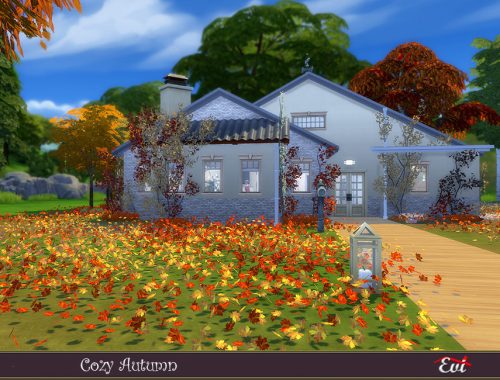 Cozy Autumn