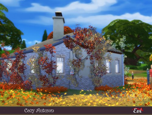Cozy Autumn