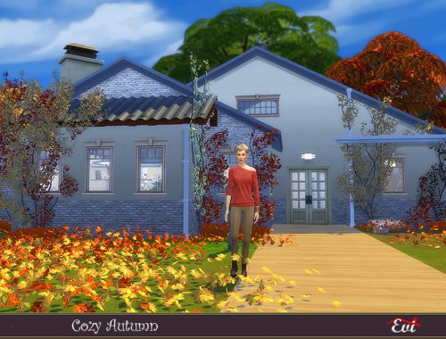 Cozy Autumn