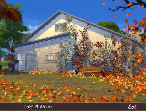 Cozy Autumn