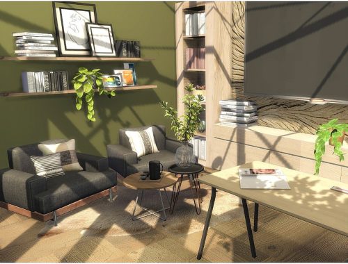 Cozy Office
