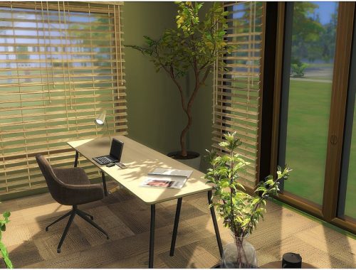 Cozy Office